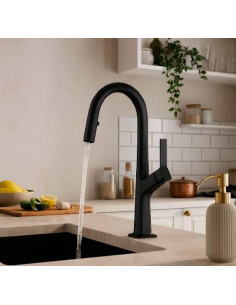 Grifo monomando Nova FR41GM  extraible  gunmetal 