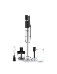 Batidora Varilla Moulinex DD95HD10  1200w  Metal 